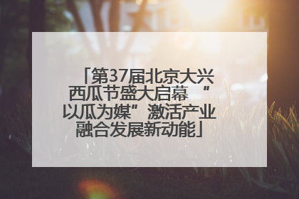 第37届北京大兴西瓜节盛大启幕 “以瓜为媒”激活产业融合发展新动能