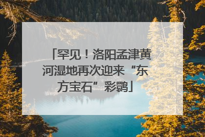 罕见！洛阳孟津黄河湿地再次迎来“东方宝石”彩鹮