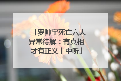 罗帅宇死亡六大异常待解：有真相才有正义丨中听