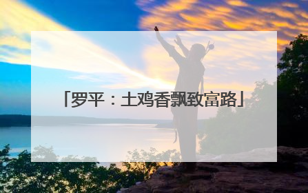 罗平：土鸡香飘致富路