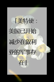 美特使：美国已开始减少在叙利亚的军事存在