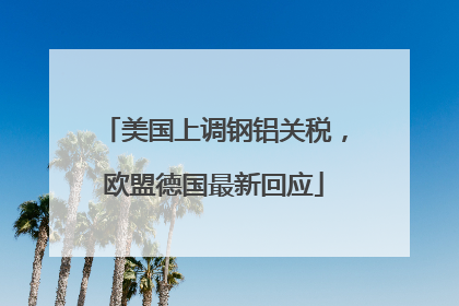 美国上调钢铝关税，欧盟德国最新回应