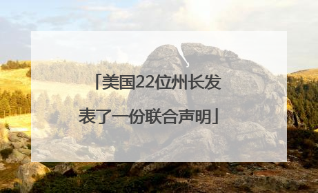 美国22位州长发表了一份联合声明