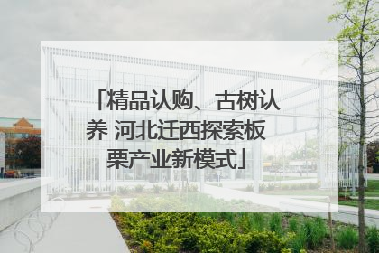 精品认购、古树认养 河北迁西探索板栗产业新模式