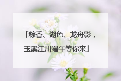 粽香、湖色、龙舟影，玉溪江川端午等你来