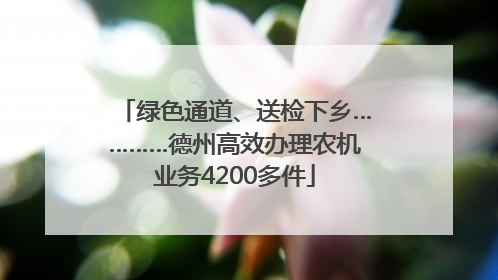 绿色通道、送检下乡…………德州高效办理农机业务4200多件