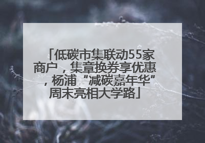 低碳市集联动55家商户，集章换券享优惠，杨浦“减碳嘉年华”周末亮相大学路