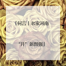 何言丨老家河南 “开”新图强