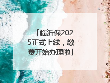 临沂保2025正式上线，缴费开始办理啦