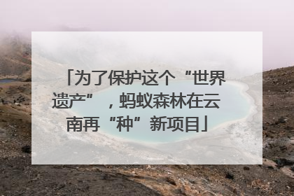 为了保护这个“世界遗产”，蚂蚁森林在云南再“种”新项目