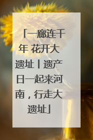 一廊连千年 花开大遗址丨遗产日一起来河南，行走大遗址