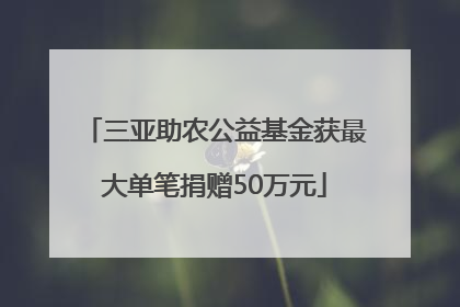 三亚助农公益基金获最大单笔捐赠50万元