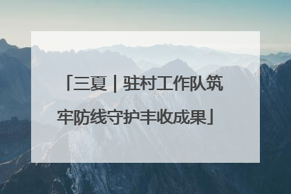 三夏｜驻村工作队筑牢防线守护丰收成果
