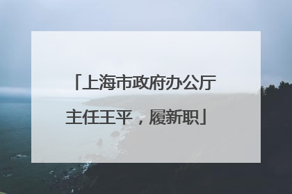 上海市政府办公厅主任王平，履新职