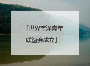 世界丰泽青年联谊会成立