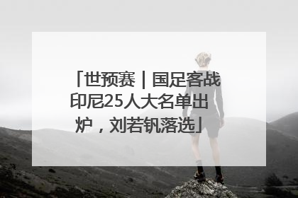 世预赛｜国足客战印尼25人大名单出炉，刘若钒落选