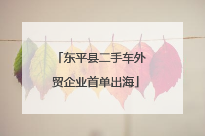 东平县二手车外贸企业首单出海