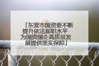 东营市国资委不断提升依法履职水平 为国资国企高质量发展提供坚实保障