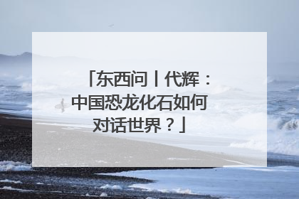 东西问丨代辉：中国恐龙化石如何对话世界？