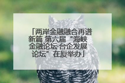 两岸金融融合再谱新篇 第六届“海峡金融论坛·台企发展论坛”在厦举办