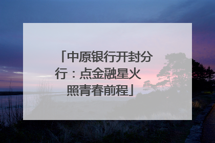 中原银行开封分行：点金融星火 照青春前程