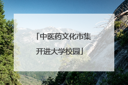 中医药文化市集开进大学校园