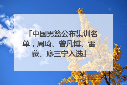 中国男篮公布集训名单，周琦、曾凡博、雷蒙、廖三宁入选