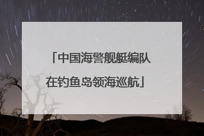 中国海警舰艇编队在钓鱼岛领海巡航