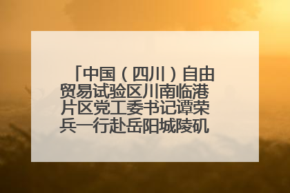 中国（四川）自由贸易试验区川南临港片区党工委书记谭荣兵一行赴岳阳城陵矶综保区考察