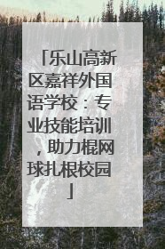 乐山高新区嘉祥外国语学校：专业技能培训，助力棍网球扎根校园