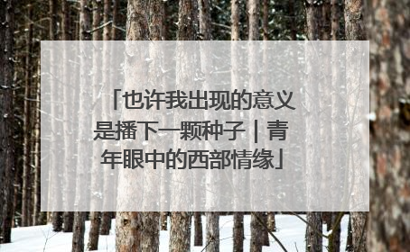 也许我出现的意义是播下一颗种子｜青年眼中的西部情缘