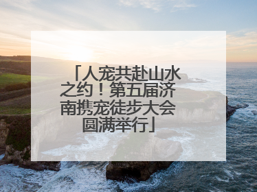 人宠共赴山水之约！第五届济南携宠徒步大会圆满举行