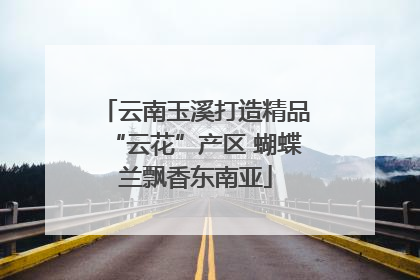 云南玉溪打造精品“云花”产区 蝴蝶兰飘香东南亚