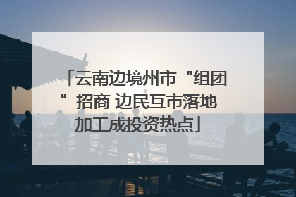 云南边境州市“组团”招商 边民互市落地加工成投资热点