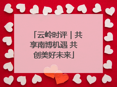 云岭时评｜共享南博机遇 共创美好未来