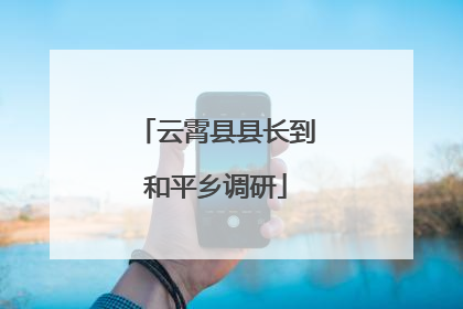 云霄县县长到和平乡调研