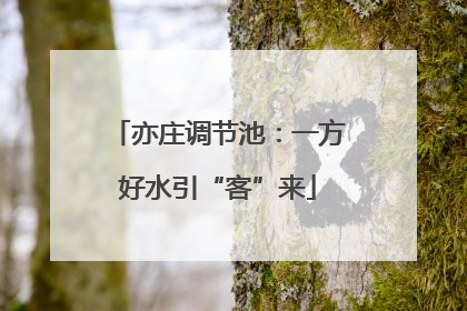 亦庄调节池：一方好水引“客”来