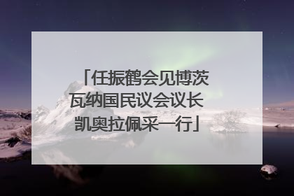 任振鹤会见博茨瓦纳国民议会议长凯奥拉佩采一行