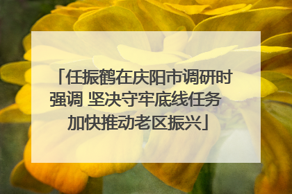 任振鹤在庆阳市调研时强调 坚决守牢底线任务 加快推动老区振兴