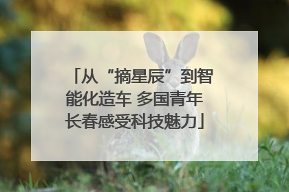 从“摘星辰”到智能化造车 多国青年长春感受科技魅力