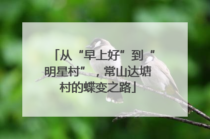 从“早上好”到“明星村”，常山达塘村的蝶变之路