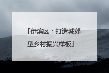 伊滨区：打造城郊型乡村振兴样板