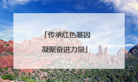 传承红色基因 凝聚奋进力量