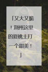 又大又脆！荆州这里的夏桃主打一个甜美！
