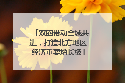 双圈带动全域共进，打造北方地区经济重要增长极