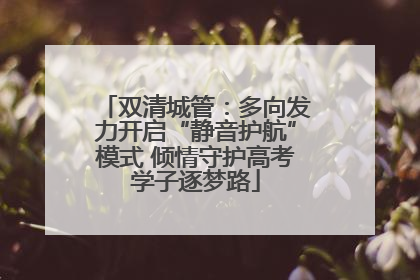 双清城管：多向发力开启“静音护航”模式 倾情守护高考学子逐梦路