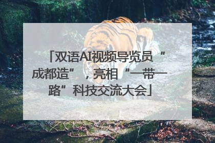 双语AI视频导览员“成都造”，亮相“一带一路”科技交流大会