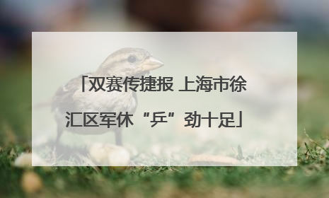双赛传捷报 上海市徐汇区军休“乒”劲十足