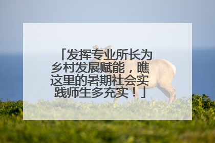 发挥专业所长为乡村发展赋能，瞧这里的暑期社会实践师生多充实！