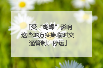 受“蝴蝶”影响 这些地方实施临时交通管制、停运
